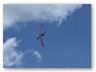 IMG_5351