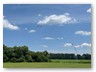 IMG_5355