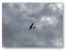 IMG_5947