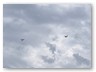 IMG_5949