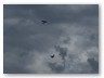 IMG_5950