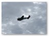 IMG_5958