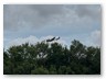 IMG_5975
