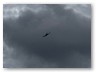 IMG_5979
