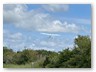 IMG_6048