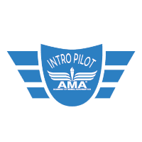 Introductory Pilot Program logo