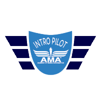 Introductory Pilot Program logo